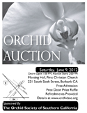2013 Black and White OSSC Orchid Auction Poster