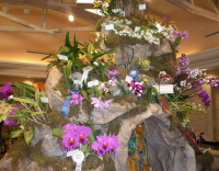 Click to see large photo of OSSC's 2008 Southland Orchid Show display