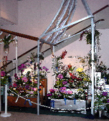 2002 OSSC East West Orchid Show Display